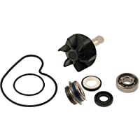KIT REVISIONE POMPA ACQUA BURGMAN 125 250 400